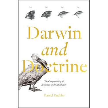 Darwin and Doctrine: The Compatibility of Evolution and Catholicism