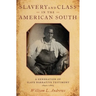 Slavery and Class in the American South: A Generation of Slave Narrative Testimony, 1840-1865