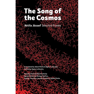 The Song of the Cosmos: Selected Poems