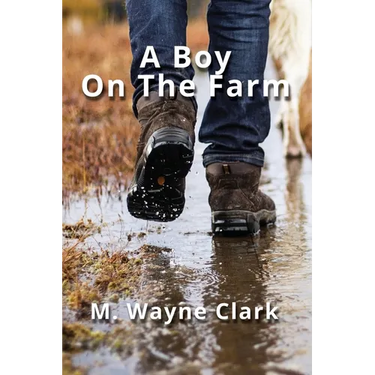 A Boy On The Farm