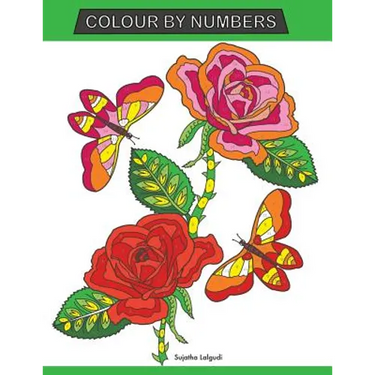 Colour by Numbers: Large Print Colour By Number Butterflies, Birds, and Flowers Adult Colouring Book