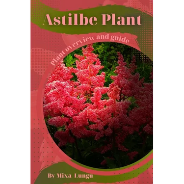 Astilbe Plant: Plant overview and guide