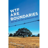 WTF are Boundaries: Good times, Bad times, and Narcissistic Abuse