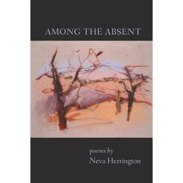 Among the Absent