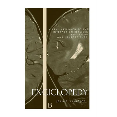 Encyclopedia of Education and Neuroscience: A real approach to the interaction between education and neuroscience