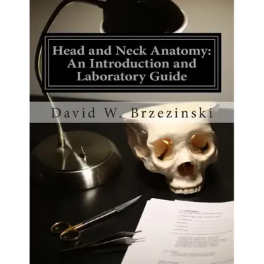 Head and Neck Anatomy: An Introduction and Laboratory Guide