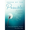 Sense of the Possible: An Introduction to Theology and Imagination