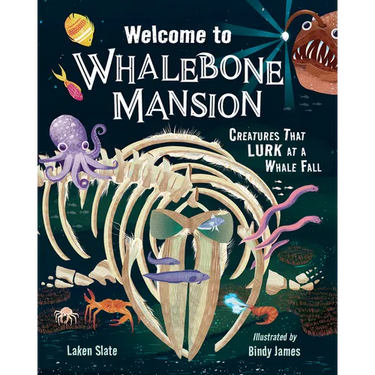 Welcome to Whalebone Mansion: Creatures That Lurk at a Whale Fall