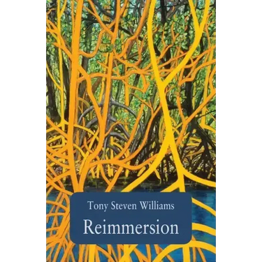 Reimmersion
