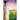 Beyond the Sunrise