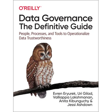 Data Governance: The Definitive Guide: People, Processes, and Tools to Operationalize Data Trustworthiness