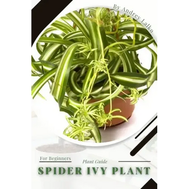 Spider Ivy Plant: Plant Guide