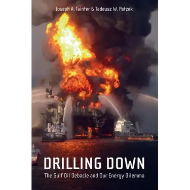 Drilling Down: The Gulf Oil Debacle and Our Energy Dilemma