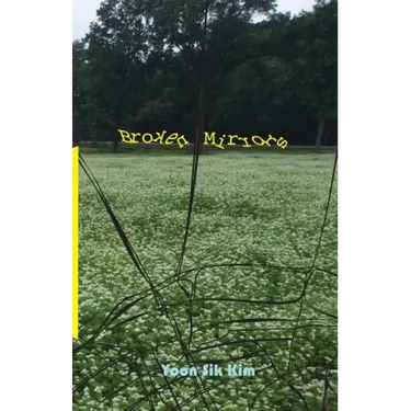 Broken Mirrors