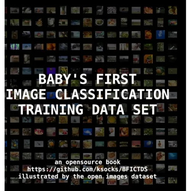Baby's First Image Classification Training Data Set