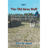 The Old Grey Wolf: The Southern Campaigns of Captain Jacob Clarke