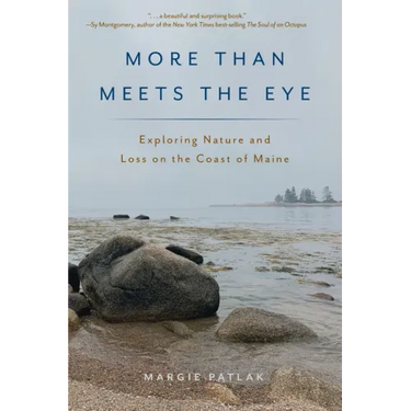 More Than Meets the Eye: Exploring Nature and Loss on the Coast of Maine