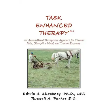 Task Enhanced TherapySM: An Action-Based Therapeutic Approach for Chronic Pain, Disruptive Mood, and Trauma Recovery