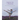 Advice to a Dancer: Wisdom and Wonder from the Studio and Stage