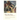 Vilna My Vilna
