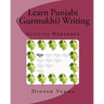 Learn Punjabi (Gurmukhi) Writing Activity Workbook