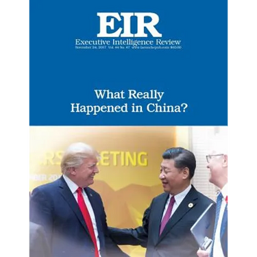 What Really Happened in China?: Executive Intelligence Review; Volume 44, Issue 47
