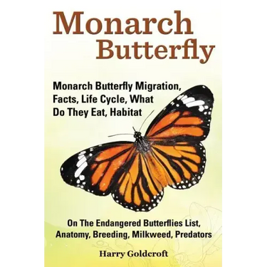 Monarch Butterfly, Monarch Butterfly Migration, Facts, Life Cycle, What Do They Eat, Habitat, Anatomy, Breeding, Milkweed, Predators
