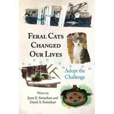 Feral Cats Changed Our Lives: Adopt the Challenge