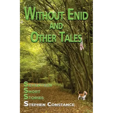 Without Enid and other Tales: Seventeen Short Stories