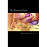 The Human Brain: A Fascinating Book Containing Human Brain Facts, Trivia, Images & Memory Recall Quiz: Suitable for Adults & Children