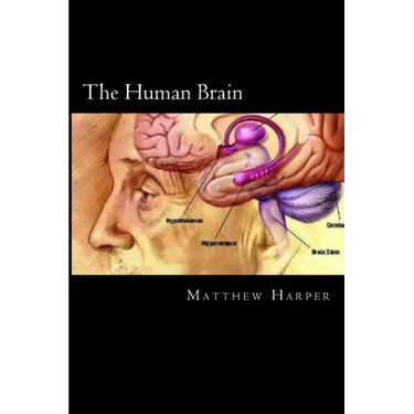 The Human Brain: A Fascinating Book Containing Human Brain Facts, Trivia, Images & Memory Recall Quiz: Suitable for Adults & Children
