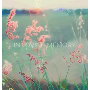 Condolence book for funeral (Hardcover): Memory book, comments book, condolence book for funeral, remembrance, celebration of life, in loving memory f