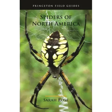 Spiders of North America
