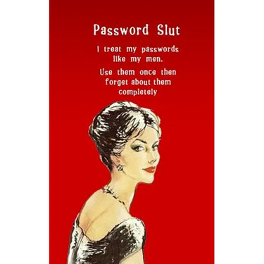Password Slut: Internet security password with 312 sections for internet passwords for addresses and usernames, humorous cover A-Z index