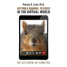 Getting a Squirrel to Focus in the Virtual World: Not Just Content, but Connection