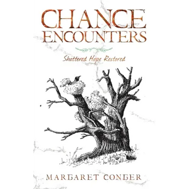Chance Encounters: Shattered Hope Restored