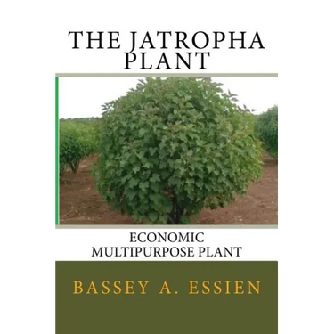 The Jatropha Plant