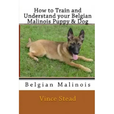 How to Train and Understand Your Belgian Malinois Puppy & Dog