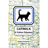 Catwalk