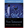 An Introduction to the New Testament: Witnesses to God's New Work