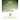 30 Days to Prosperity: A Workbook to Manifest Abundance