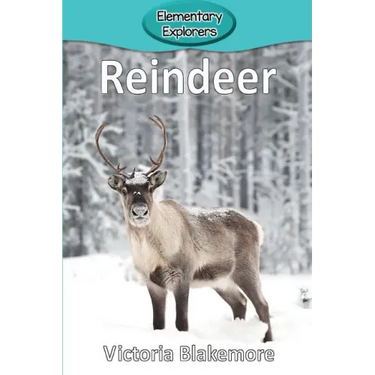 Reindeer