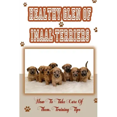Healthy Glen of Imaal Terriers: How To Take Care Of Them, Training Tips: Treatment For Glen Of Imaal Terriers