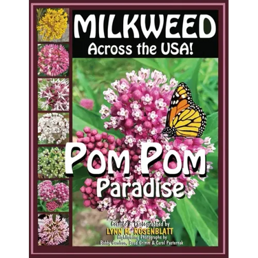 MILKWEED Across the USA!: POM POM Paradise