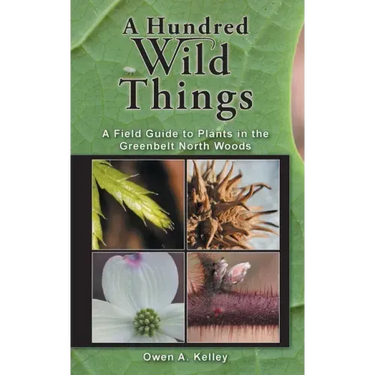 A Hundred Wild Things: A Field Guide to Plants in the Greenbelt North Woods