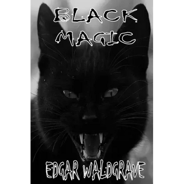 Black Magic - The Witch Chronicles - Rise Of The Dark Witch High King - Book Two
