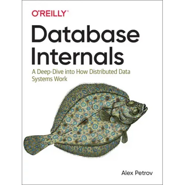 Database Internals: A Deep Dive Into How Distributed Data Systems Work