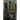 Under Twin Suns: Alternate Histories of the Yellow Sign
