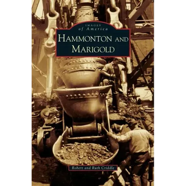 Hammonton and Marigold