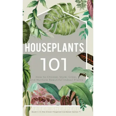 Houseplants 101: How to choose, style, grow and nurture your indoor plants.